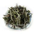 Junshan Yinzhen famous Chinese Tea